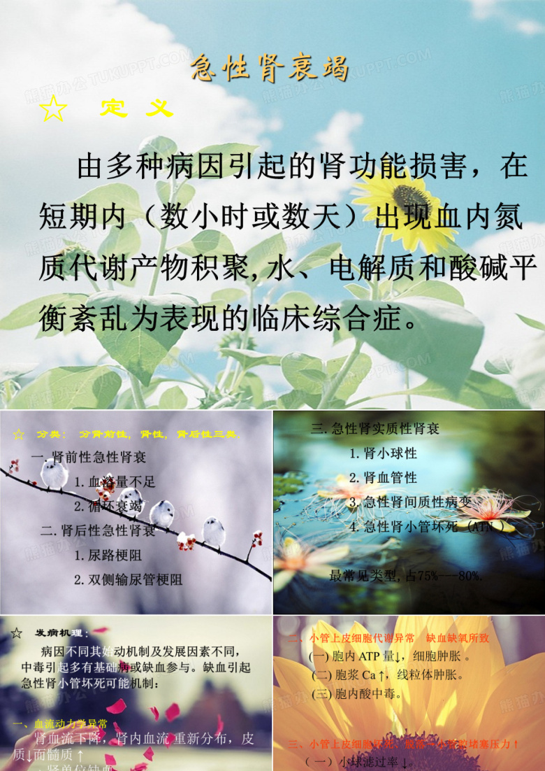 急性肾衰竭