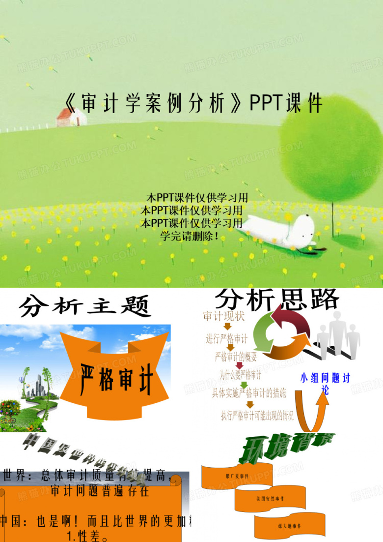 《审计学案例分析》PPT课件