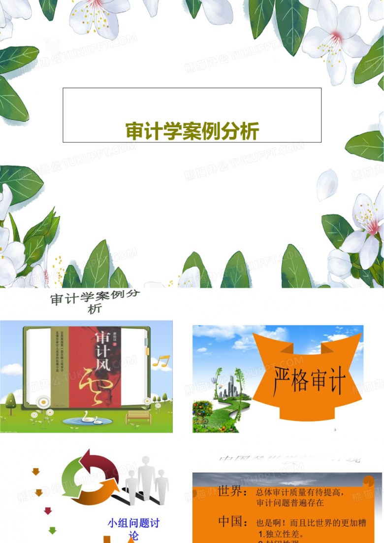 审计学案例分析共30页文档