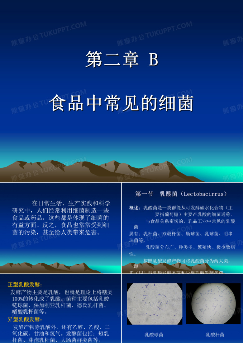 乳酸菌
