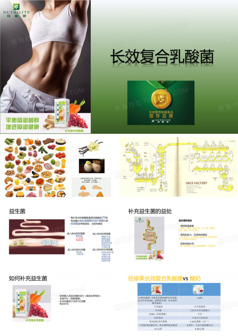 乳酸菌