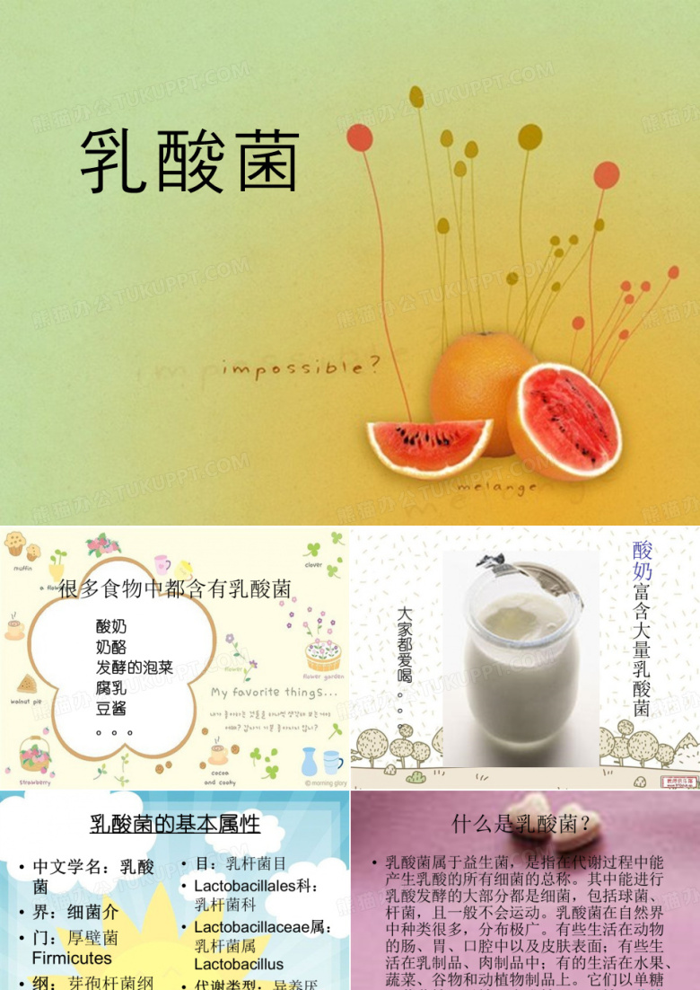 《乳酸菌》ppt