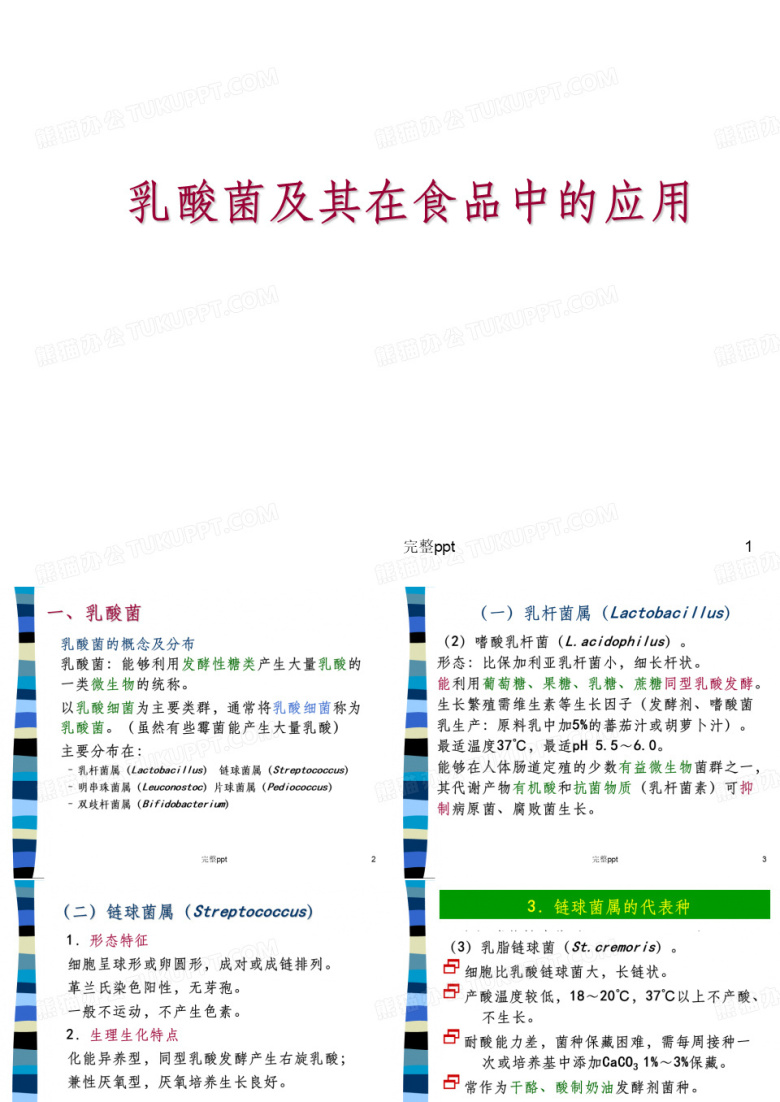 乳酸菌微生物