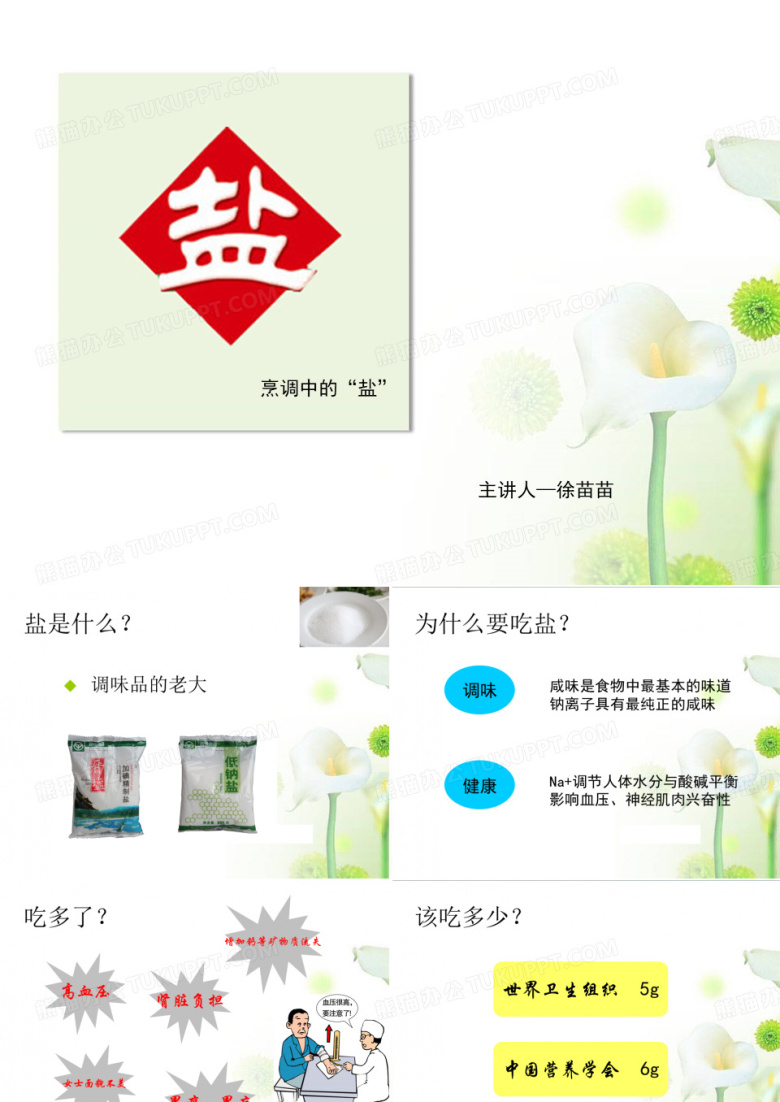 调味品&mdash;盐