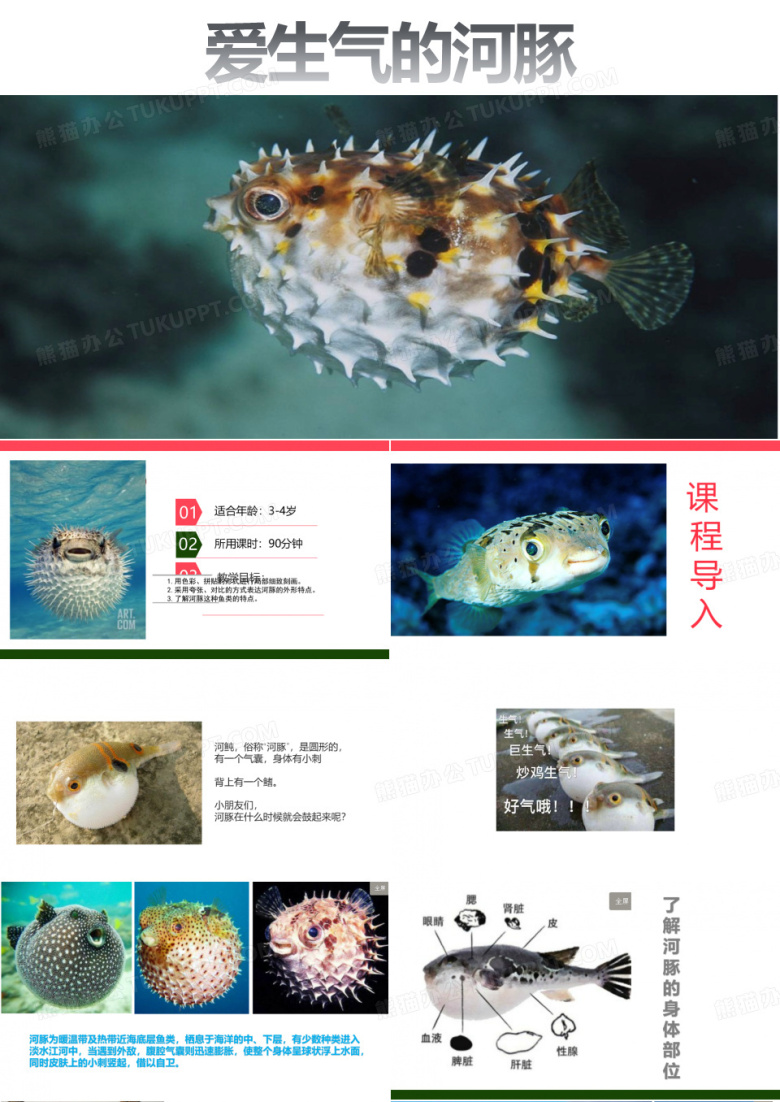 《河豚》 少儿美术课件