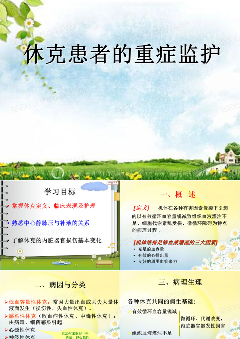 休克病人的护理(PPT)
