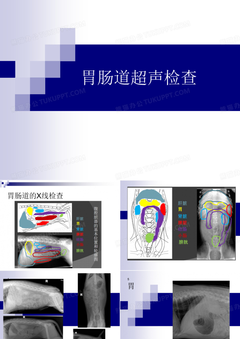 胃肠道超声