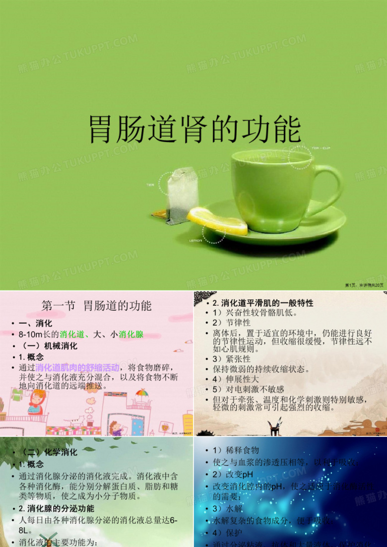 胃肠道肾的功能