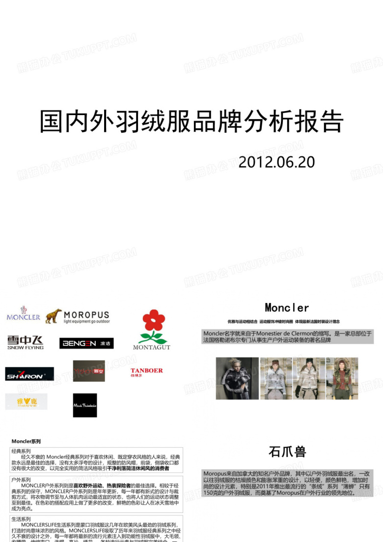 羽绒服国内外品牌分析报告