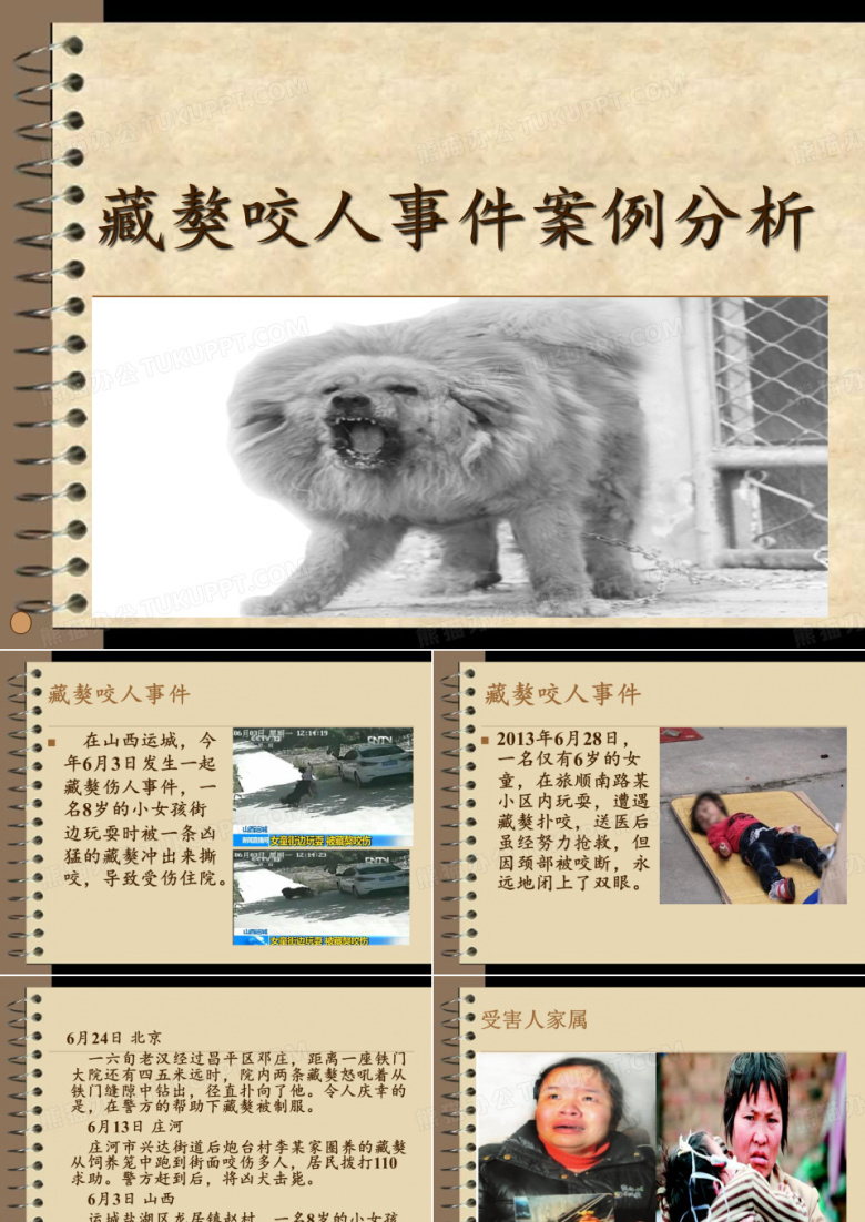 藏獒咬人事件案例分析 2