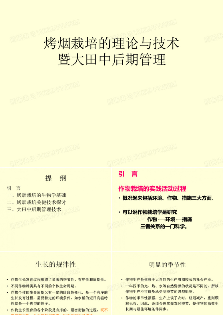 烤烟栽培