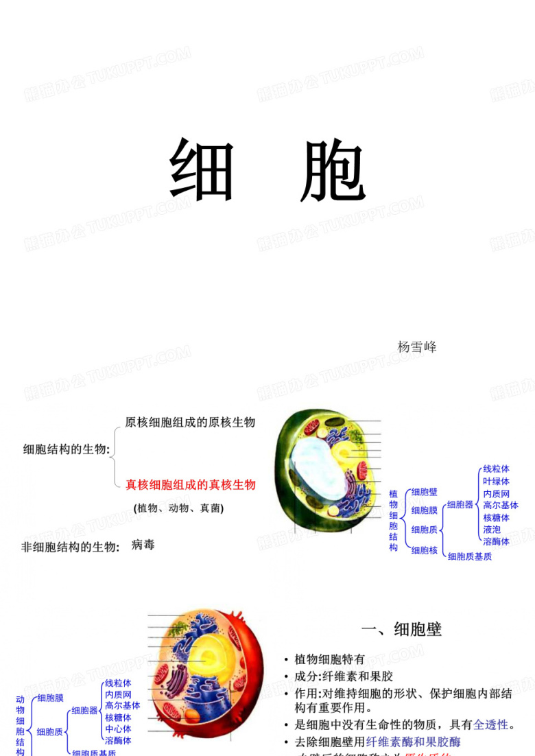 细胞壁和细胞膜