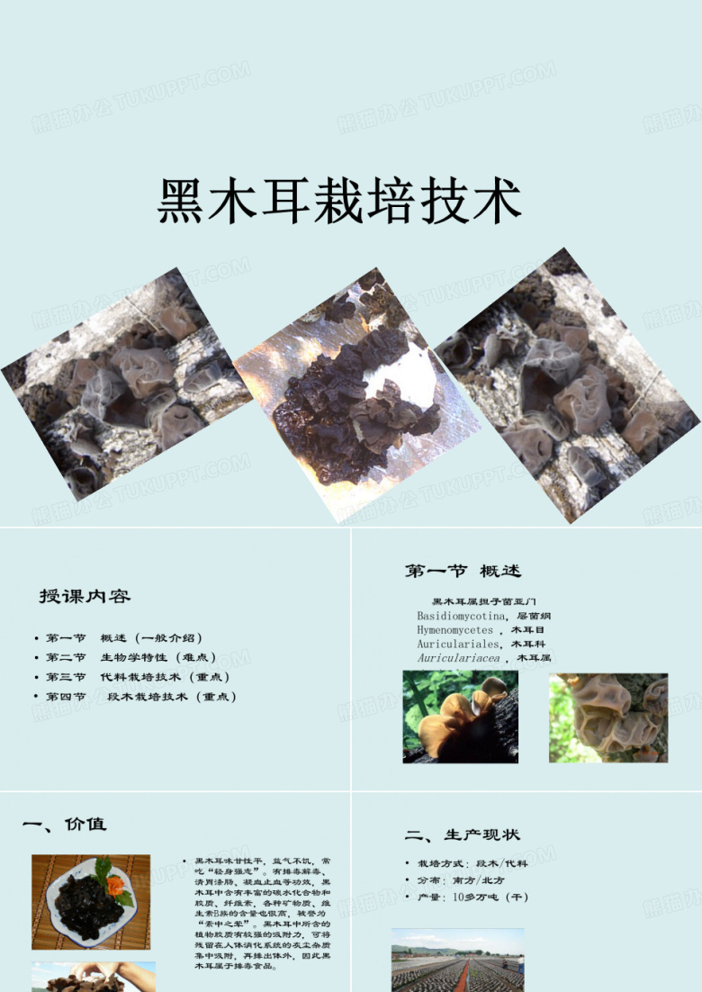 黑木耳栽培技术课件