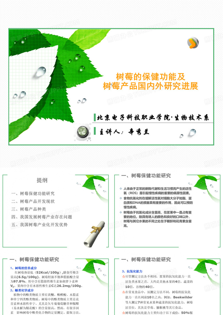 树莓产品国内外研究现状
