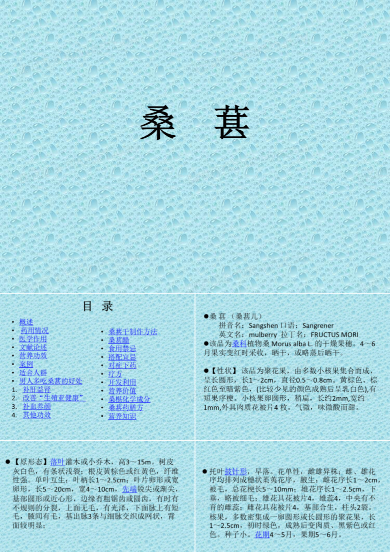 桑葚综合利用
