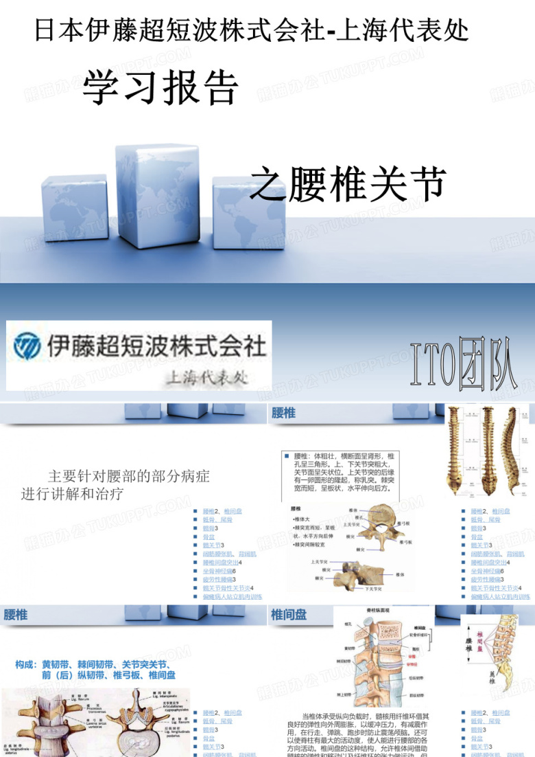腰髋关节