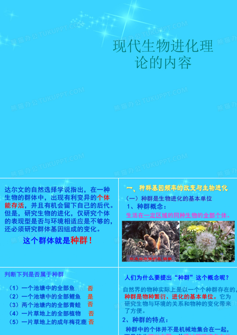 现代生物进化理论的内容
