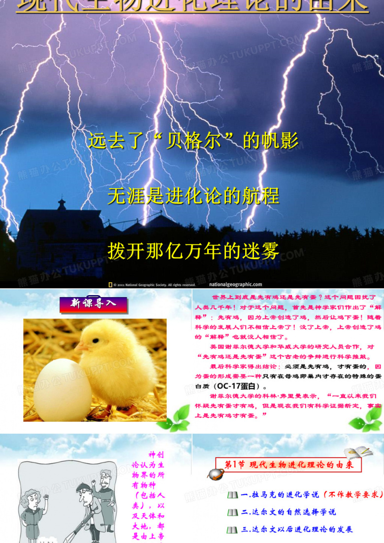 现代生物进化理论的由来