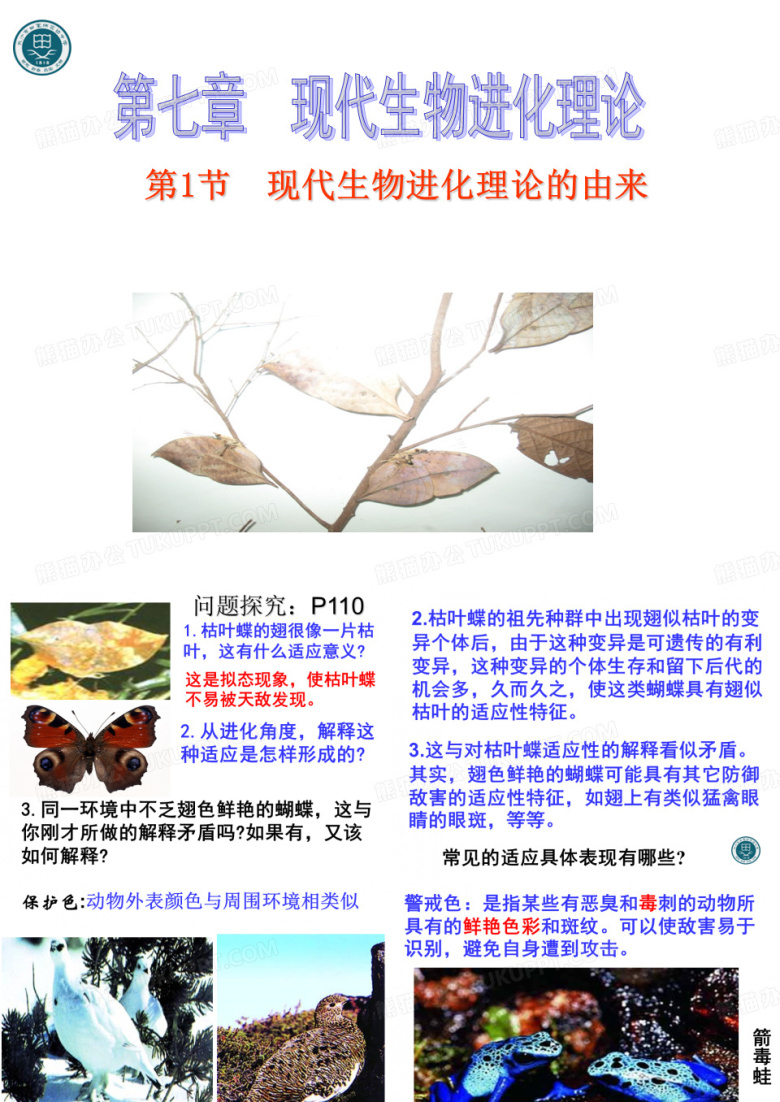 现代生物进化理论的由来