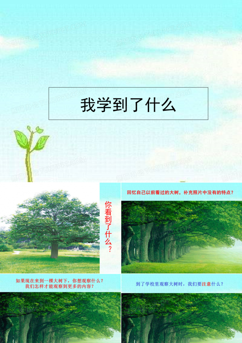 大象版二年级科学