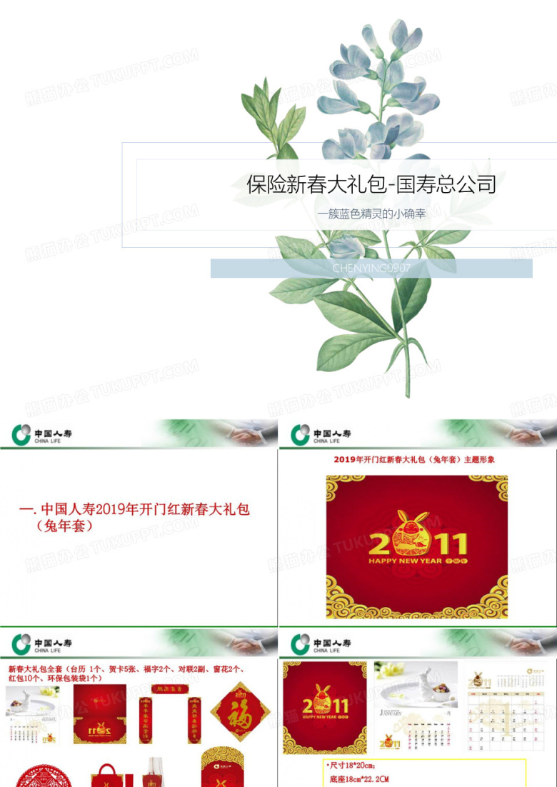 保险新春大礼包-国寿总公司