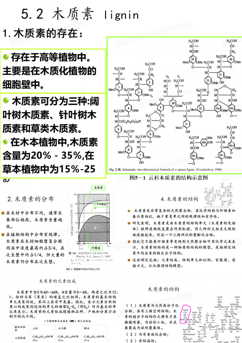 木质素