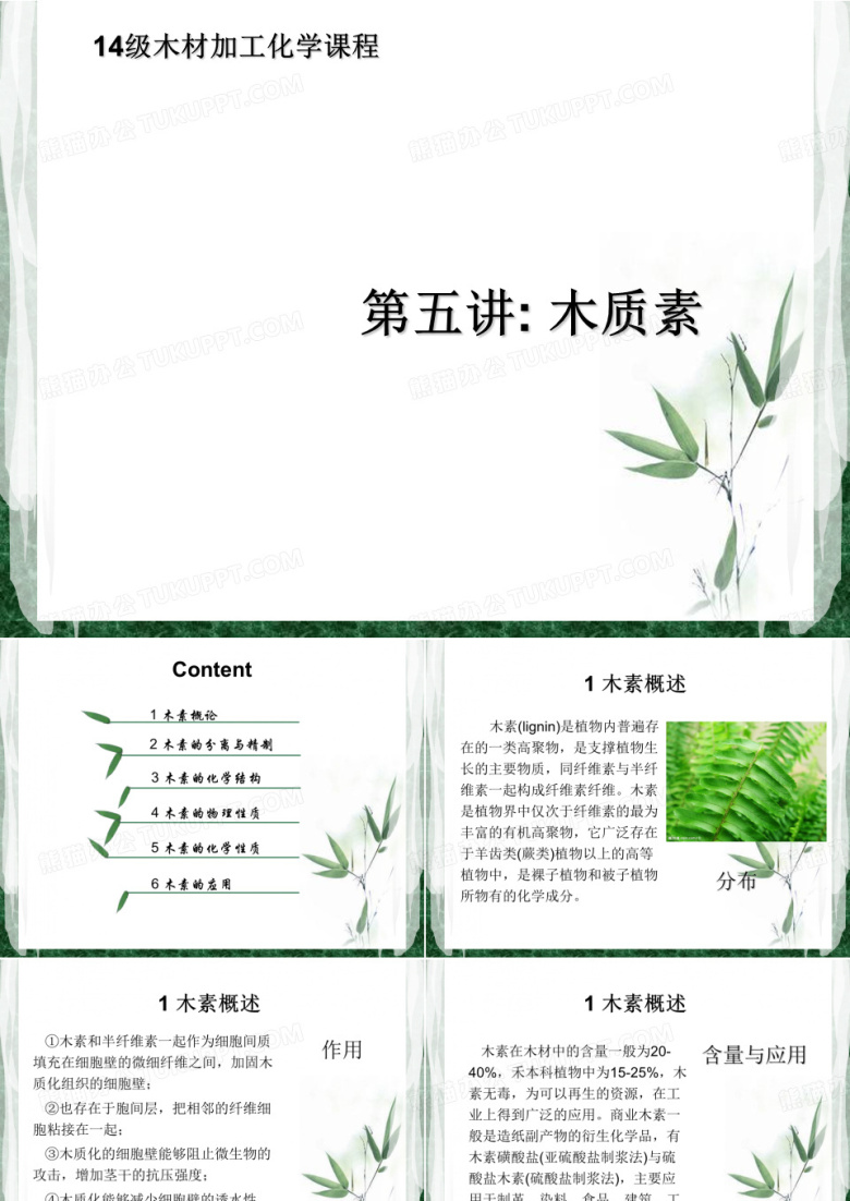 木质素