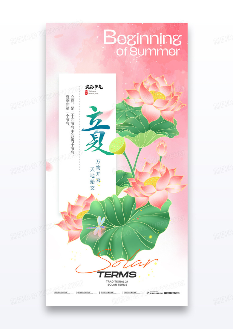 立夏二十四节气荷花插画简约海报
