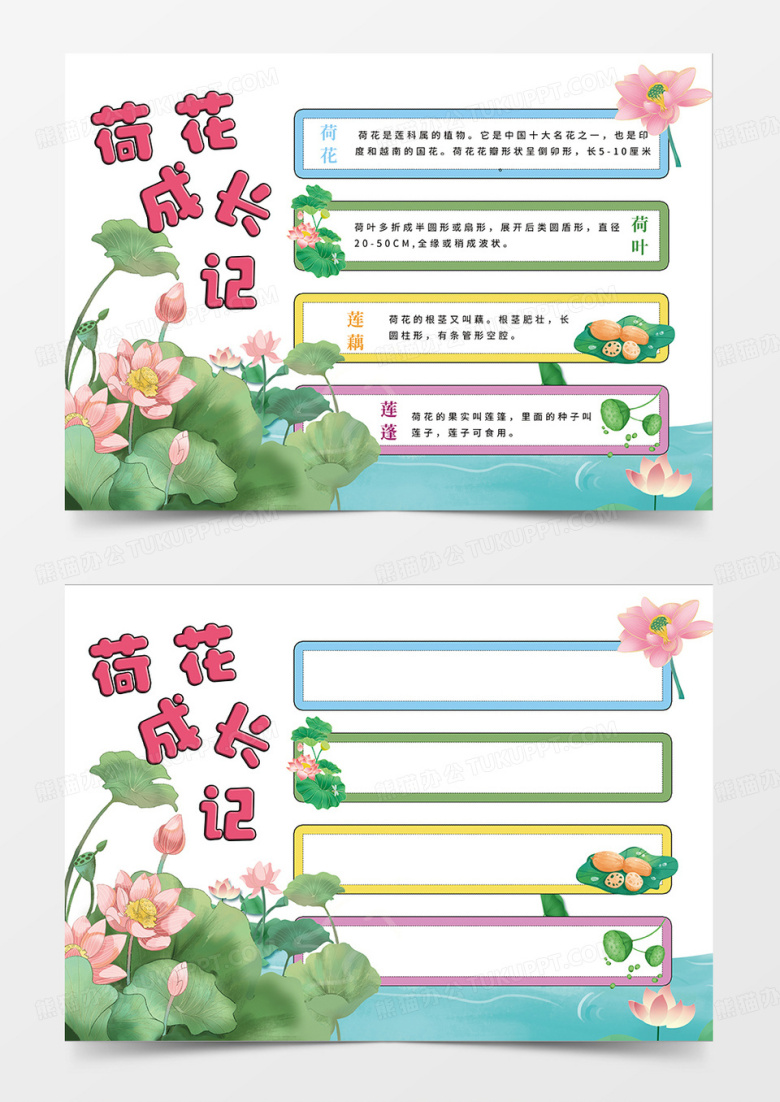 绿色简约荷花成长记植物记录卡小报手抄报