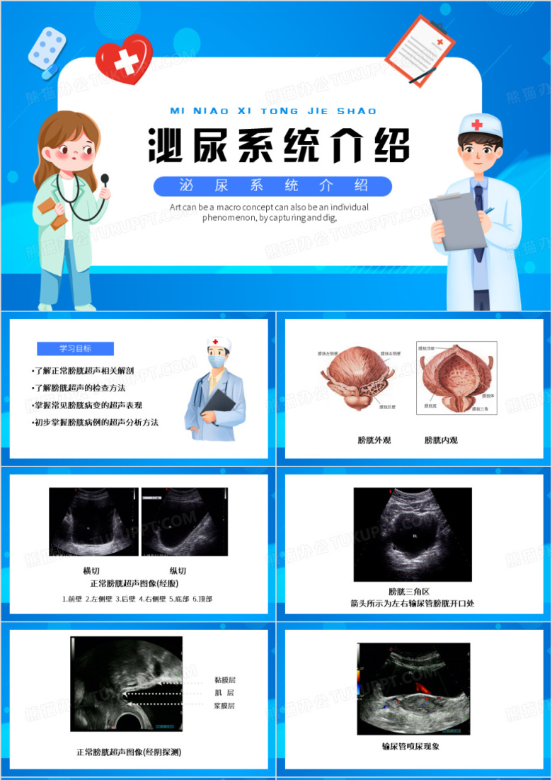 蓝色卡通风泌尿系统PPT模板