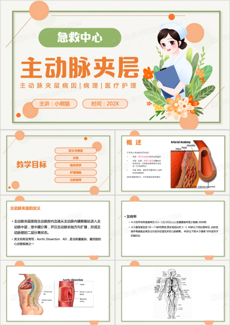 橙色清新风主动脉夹层PPT模板