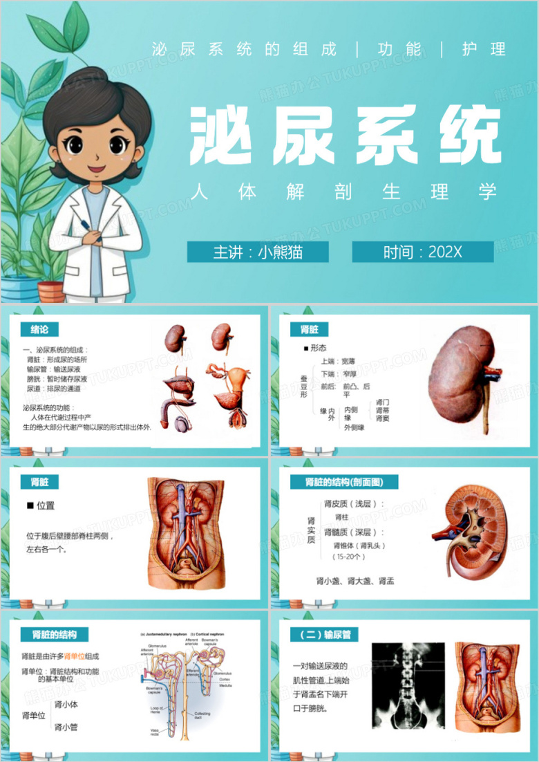 绿色卡通风泌尿系统PPT模板