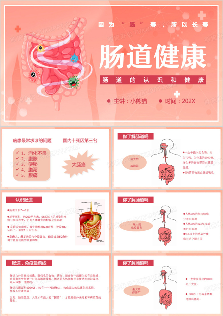 粉色卡通风肠道健康PPT模板