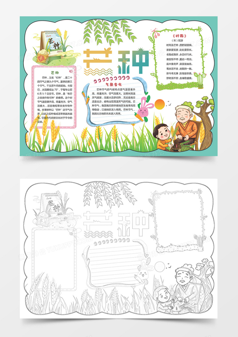 二十四节气 芒种小报手抄报