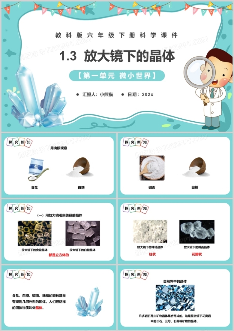 教科版六年级科学下册放大镜下的晶体课件PPT模板