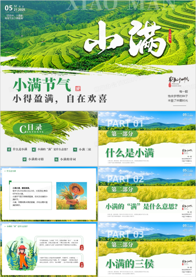 绿色插画风中国传统二十四节气之小满PPT模板