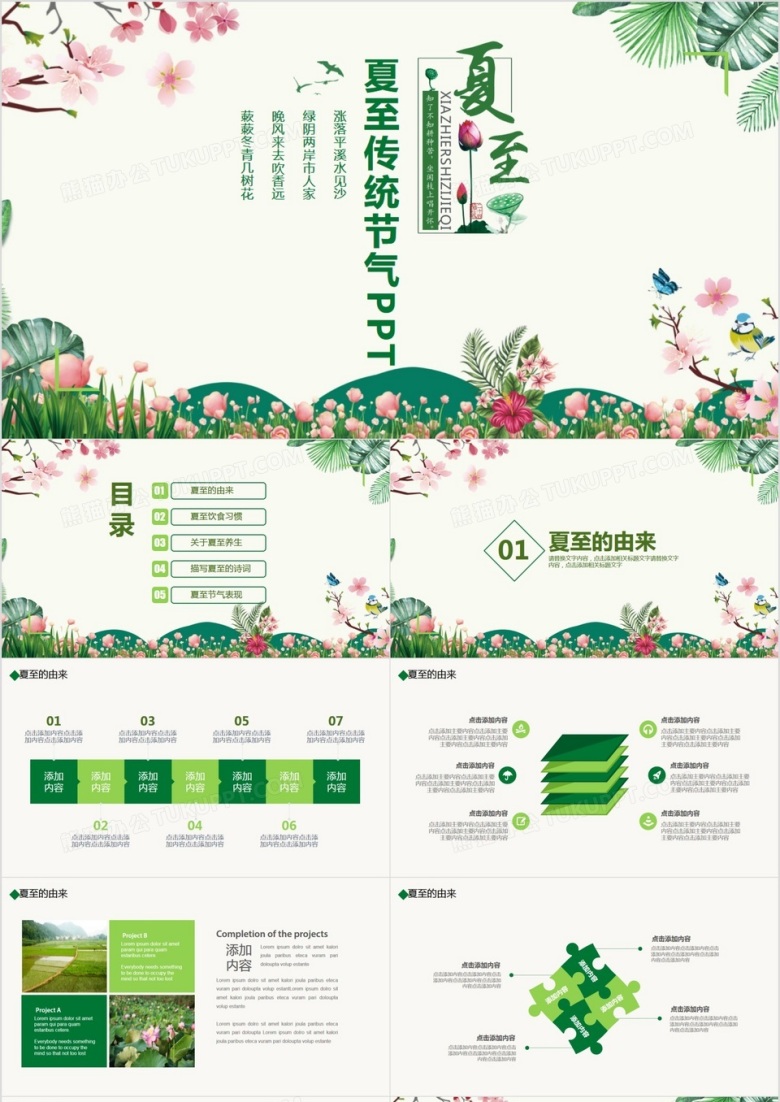 绿色清新夏至传统节气动态PPT模板