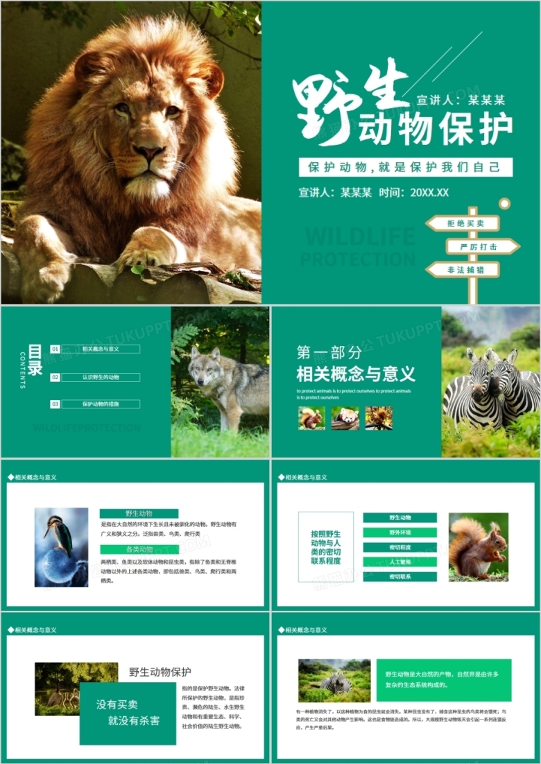 保护野生动物就是保护我们自己动态PPT