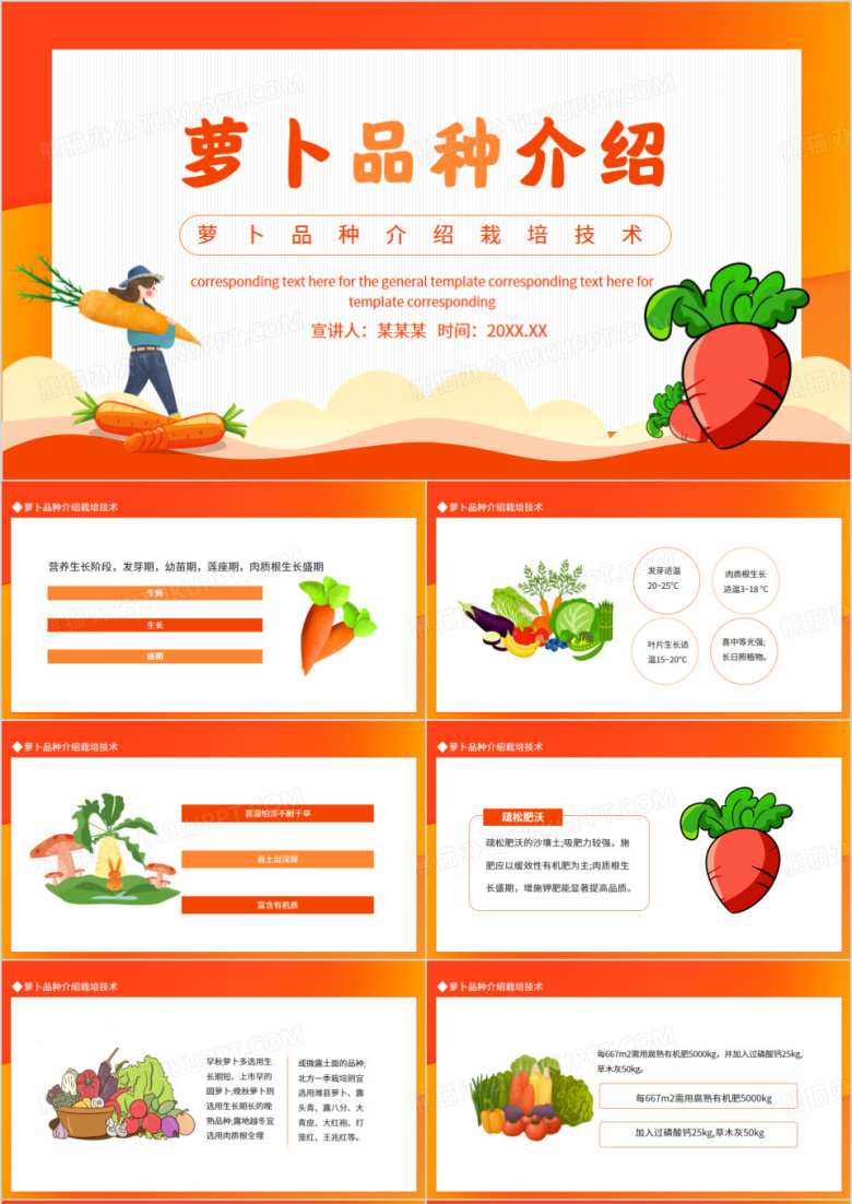 萝卜品种介绍栽培技术动态PPT