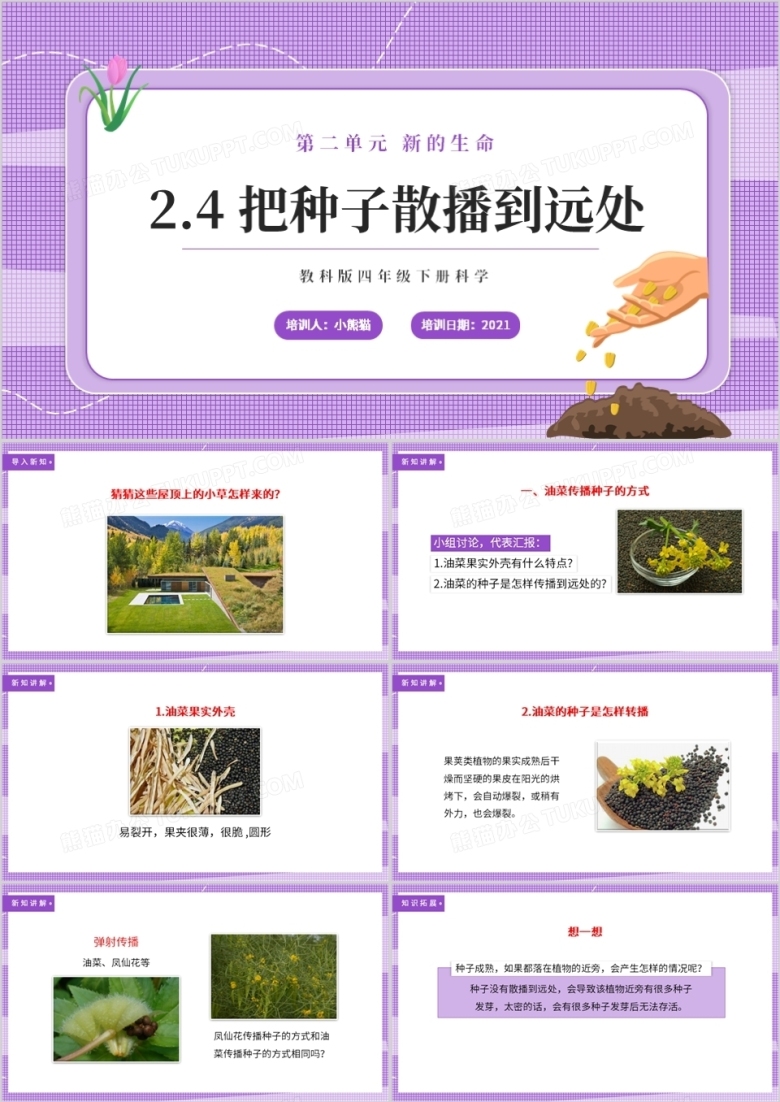 教科版四年级下册把种子散播到远处课件PPT模板 