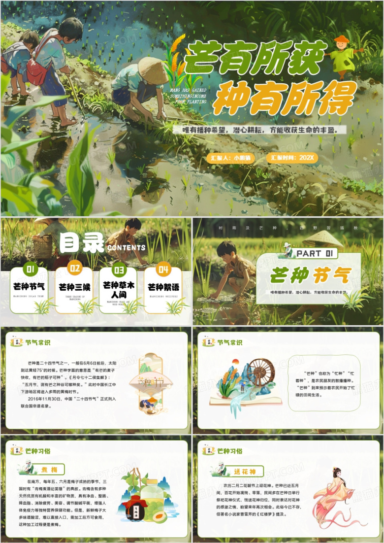 绿色插画风二十四节气之芒种介绍PPT模板