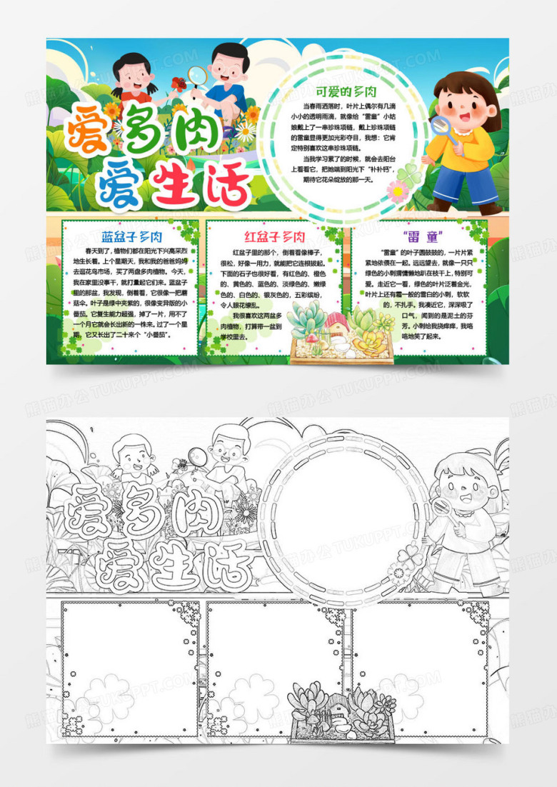 爱多肉爱生活植物成长小报手抄报word模版