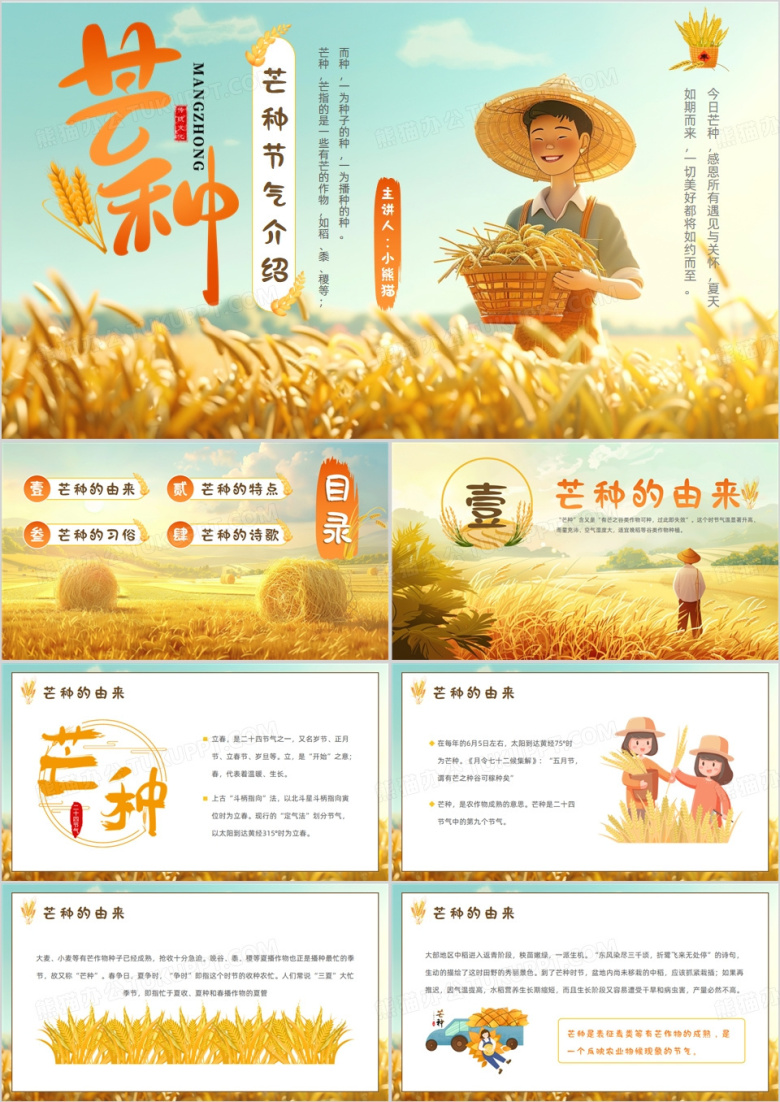 黄色插画风二十四节气之芒种介绍PPT模板