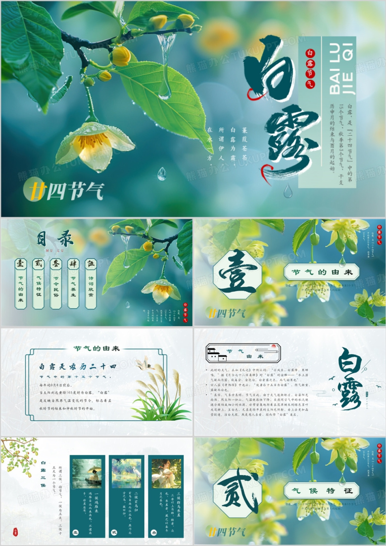 绿色插画清新风二十四节气之白露PPT模板