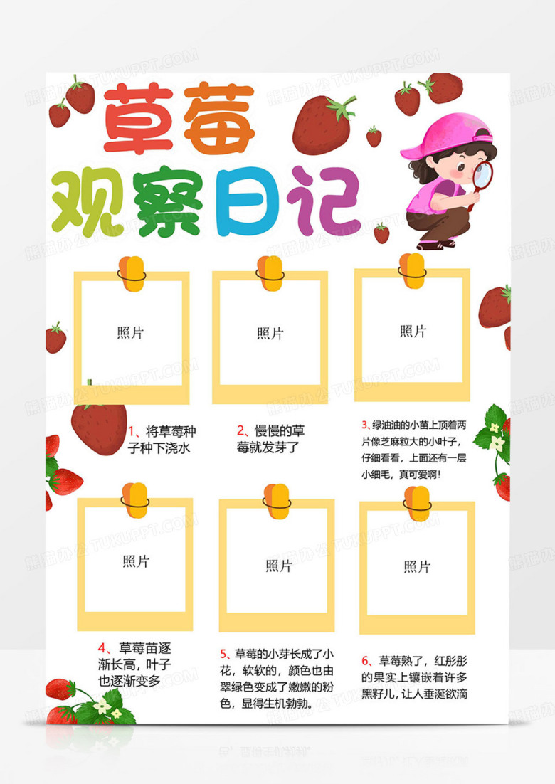 草莓成长观察日记手抄报植物记录卡小报草莓观察日记小报