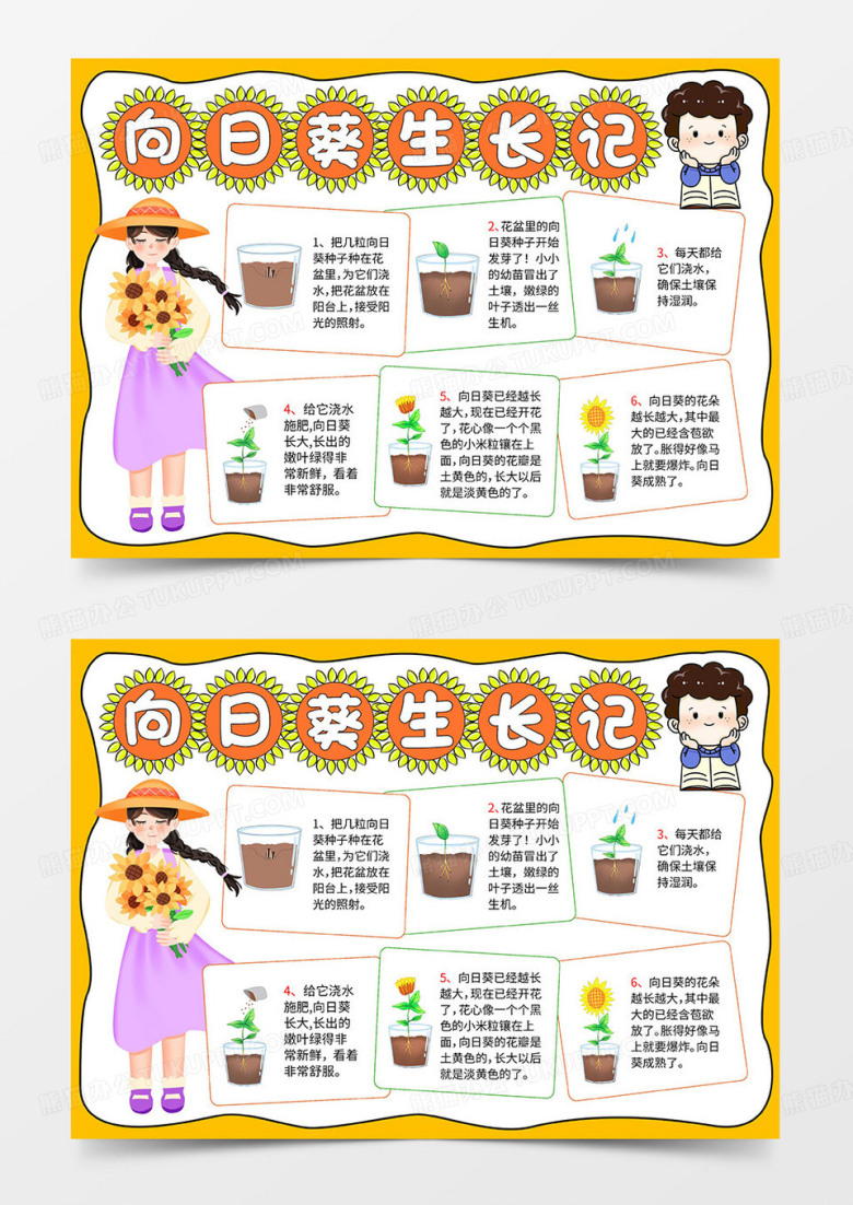向日葵生长记手抄报模板