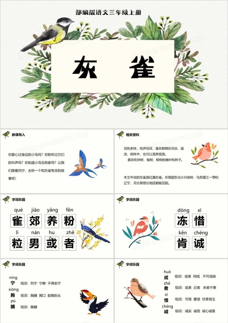 部编版三年级语文上册灰雀课件PPT模板