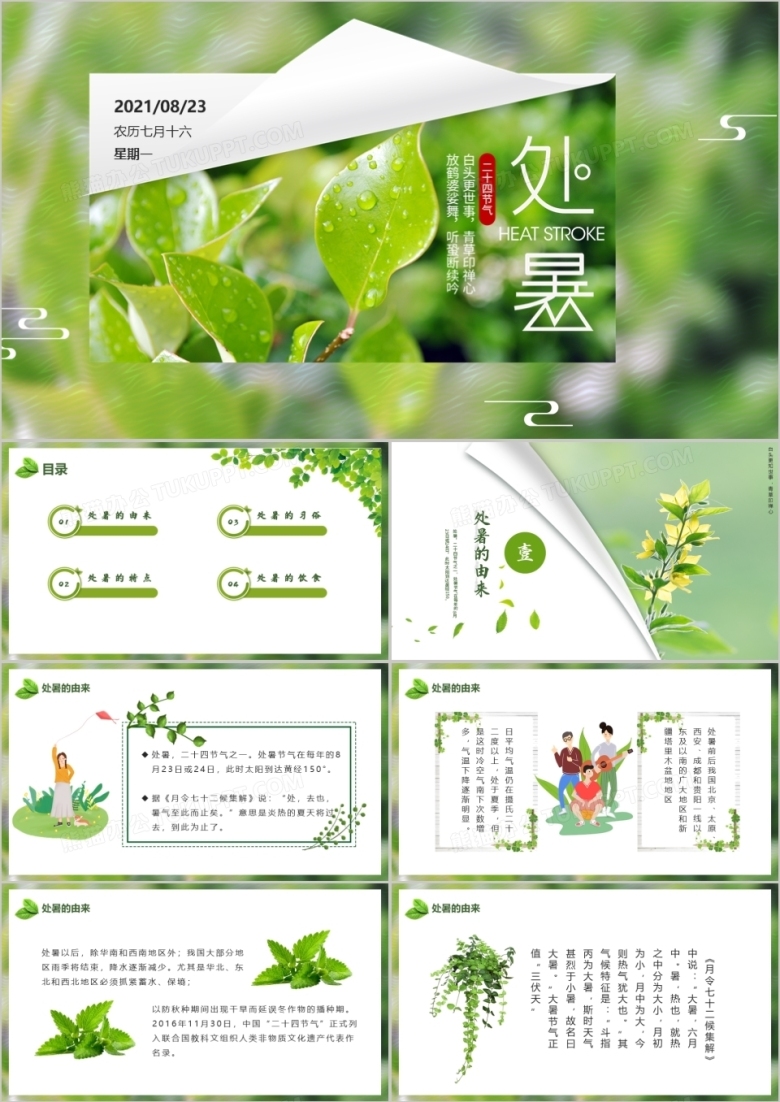 绿色小清新中国传统节日二十四节气处暑节日介绍PPT模板