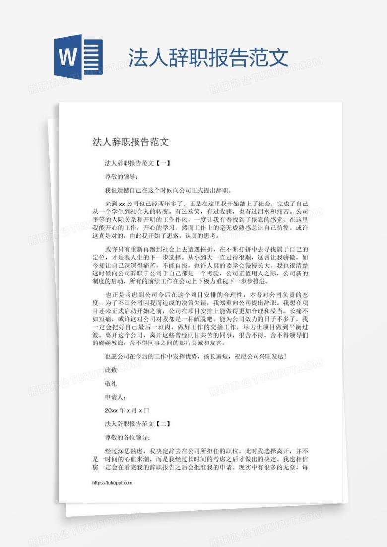 法人辞职报告范文