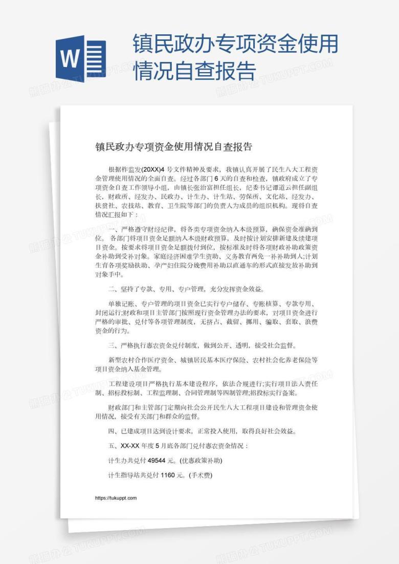 镇民政办专项资金使用情况自查报告